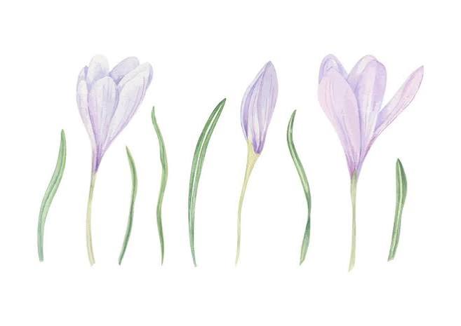 Texture astratta nei toni lilla e viola